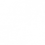 revenue